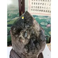 在飛比找蝦皮購物優惠-巴西鱷魚骨幹水晶~26.43公斤~完整度高~除穢聚氣~化煞聚