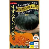 在飛比找蝦皮購物優惠-原包裝 100粒 日本迷你栗子南瓜 栗子南瓜種子 日本栗子南