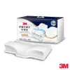 3M MZ800 防蹣可調式記憶枕-工學助眠型(內附防蹣枕套)