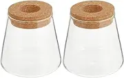 Propagation Flower Vase 2pcs Hydroponics Glass Planter with Cork Stopper Desktop Air Plant Terrarium Glass Vase for Home Propagation Glass Planter