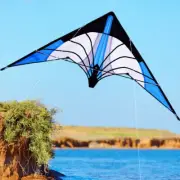 Professional Dual Line Stunt Kite 48 Inch Blue Large Delta Kite Friend Game