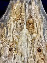 Live Edge Black Line Spalted Hard Maple Bookmatch Set Of Two Boards Craft Wood