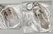 Attack on Titan Levi Ackerman Eren Yeager Animarukko Childhood Keychain Set