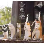 扭蛋 轉蛋 合掌動物 拜拜祈福動物