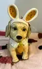 Blue Sky Yellow Labrador/Golden Retriever Puppy Easter Bunny Cookie Jar 12” NWT
