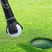 2 Golf Ball Retriever Grabber Pick Up,Back Saver Claw Putter pick up, USA Seller