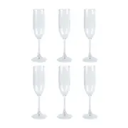 6PK Wildtrak Tritan Champagne Flute 145Ml Kitchen Dinnerware Clear