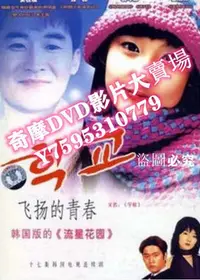 在飛比找Yahoo!奇摩拍賣優惠-DVD專賣店 韓劇 飛揚的青春 盒裝 2碟 安在模 裴鬥娜