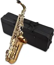 Daseeme EB Alto Saxophone Brass Lacquered Alto Sax Wind Instrument with Carry Case Gloves Straps Cleaning Cloth & Brush Saxophone Mute Reeds Mouthpiece Pad Mouthpiece Brush