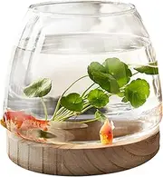 Mini Fish Tank, Glass Fish Bowl, Small Round Clear Glass Vase Desktop Fish Tank with Wooden Base, Hydroponic Plant Vase, for Home Office Flower Arrangement Decor