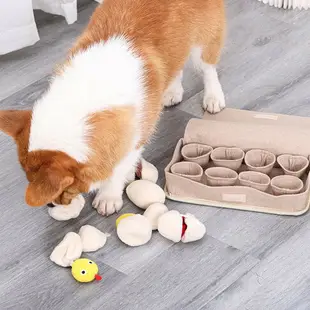 DogLemi多樂米 雞蛋盒嗅聞玩具 漏食玩具 狗狗玩具 狗玩具 寵物玩具 益智玩具 嗅聞玩具 藏食玩具