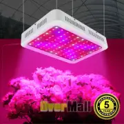 Lámpara LED De Espectro Completo Para Cultivo Foco Plantas Invernaderos Interior