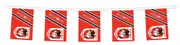 St George Illawarra Dragons NRL Bunting Hanging Flags Banner 5m with 12 flags