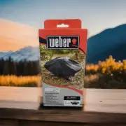 Weber 7110 Premium Grill Cover for Q 100 & Q 1000 Series Gas Grills