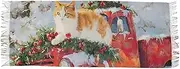 [AIXIWAWA] Women's Pashminas Scarf Cat Christmas Truck Print, Shawls Wrap Lightwight with Tassel for Evening Dress Dinner Party, Multicolor