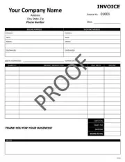 250 Custom Invoices / 2 Part Carbonless / 8.5 x 11 / TMG053