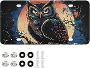 AIXIWAWA License Plate Anime Owl Print for Automobile Front Rear 12x6 in Standard Aluminum Alloy Metal Car Tags Decorative Plates