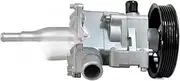 Power Steering Pump Compatible With BMW Lifan 520 620A5CO 04693375AA 04693375 AA