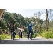 Save 10.00%! E-bike-Olive oil tasting & Wine tasting-old villages