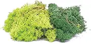 Hornby 00 Gauge Lichen Scenery, Green Mix