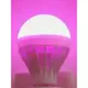 粉紅色LED燈節能燈氛圍調情燈泡E27螺口紫色粉紫燈粉色情調光源色