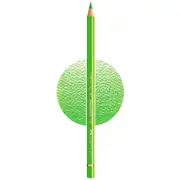 Faber-Castell Polychromos Pencil Light Green 171