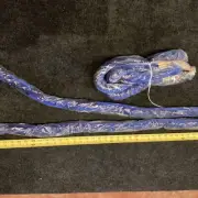 New EUROO Blue Velvet Hanging Ropes Gold Hooks Crowd Control Events Set Of 4