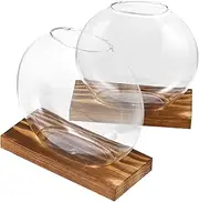 GANAZONO 2 Sets Nordic Style Hydroponic Glass Vases with Eucalyptus Base Elegant Desktop Plant Terrariums for Home and Office Decoration