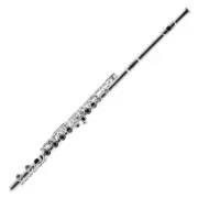 Harmonics HFL-5237S Soprano C Flute for Beginner Student in Luxury Soft Case