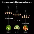 80W LED Grow Light Strips 2 Bars Full Spectrum Hanging Growing Lamps For I 1 AU