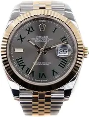 [The Watch Protect Company] Watch Protection Kit Rolex Datejust 41 126300 Tier 3 - Full Set Oyster Bracelet