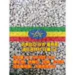 NEW衣索比亞 谷吉 夏奇索 迪巴貝特村 日曬 G1-一公斤精品咖啡生豆