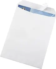Business Source Large Format/Catalog Envelopes Catalog Envelope (65450)