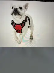 HEELE Dog Harness No Pull w Soft Handle Reflective for Outdoor Training Red Sz S