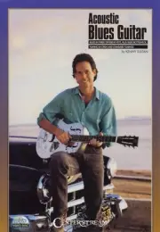 Acoustic Blues Guitar Learn How to Play Music Lessons Kenny Sultan Video DVD