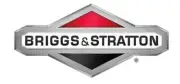 Series Segments Original Briggs & Stratton 825512