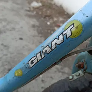 限台南自取 捷安特 12吋 兒童 自行車 Giant Bicycles 腳踏車 童車 台南可送運費另計