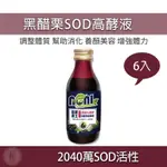 諾麗果王濃萃黑醋栗SOD高酵液 6入組 諾麗果酵素 酵素飲 幫助入睡 幫助消化 養顏美容 促進新陳代謝 久保雅司