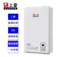 在飛比找momo購物網優惠-【上豪】16L 數位溫控 熱水器 GS-163(NG1/FE