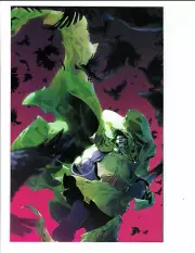 One World Under Doom #1 1:100 Rose Besch Virgin Incentive Variant Cover 2025