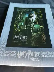 Harry Potter & The Prisoner of Azkaban/Sirius Black Jumbo Poster Card (#19)