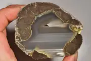 *THUNDEREGG* 8.4cm 299g AUSTRALIAN Mt Warning Agate Geode Natural Stone