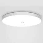 Motion Sensor Ceiling Light Ceiling Light Fixture for Entryway Hallway Porch