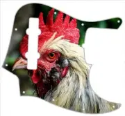 J BASS 5 STRING Graphic Pickguard to fit Fender Bass Guitar Chicken Look