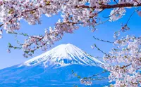 在飛比找KLOOK 客路優惠-【箱根&富士山】河口湖 大涌谷 箱根神社一日遊 (東京出發)