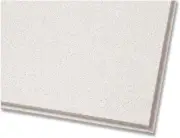 Dune 2' X 2' Tegular Ceiling Panel, 271, Carton of 16