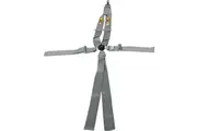 RCI 5 Point V-Type 3" Platinum Series Racing Harness with Cam-Lock Pull Down Type. SFI 16.1 Rated