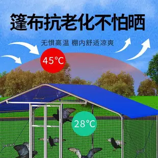 雞棚雞籠家用大號特大自家養鴿子雞窩棚圍欄搭建防雨養殖戶外雞舍