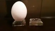 10 Large 1-1/2" Dimple Display Stands For Dove, Quail and all Eggs