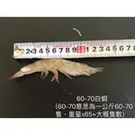 急凍生凍白蝦(61/70) 850G